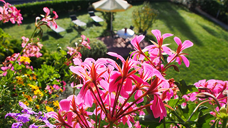 Casa Cristina Aktuelles